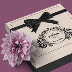 Gorgeous Gift Boxes